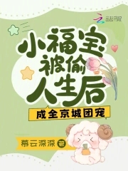 成全京城团宠 作者:慕云深深